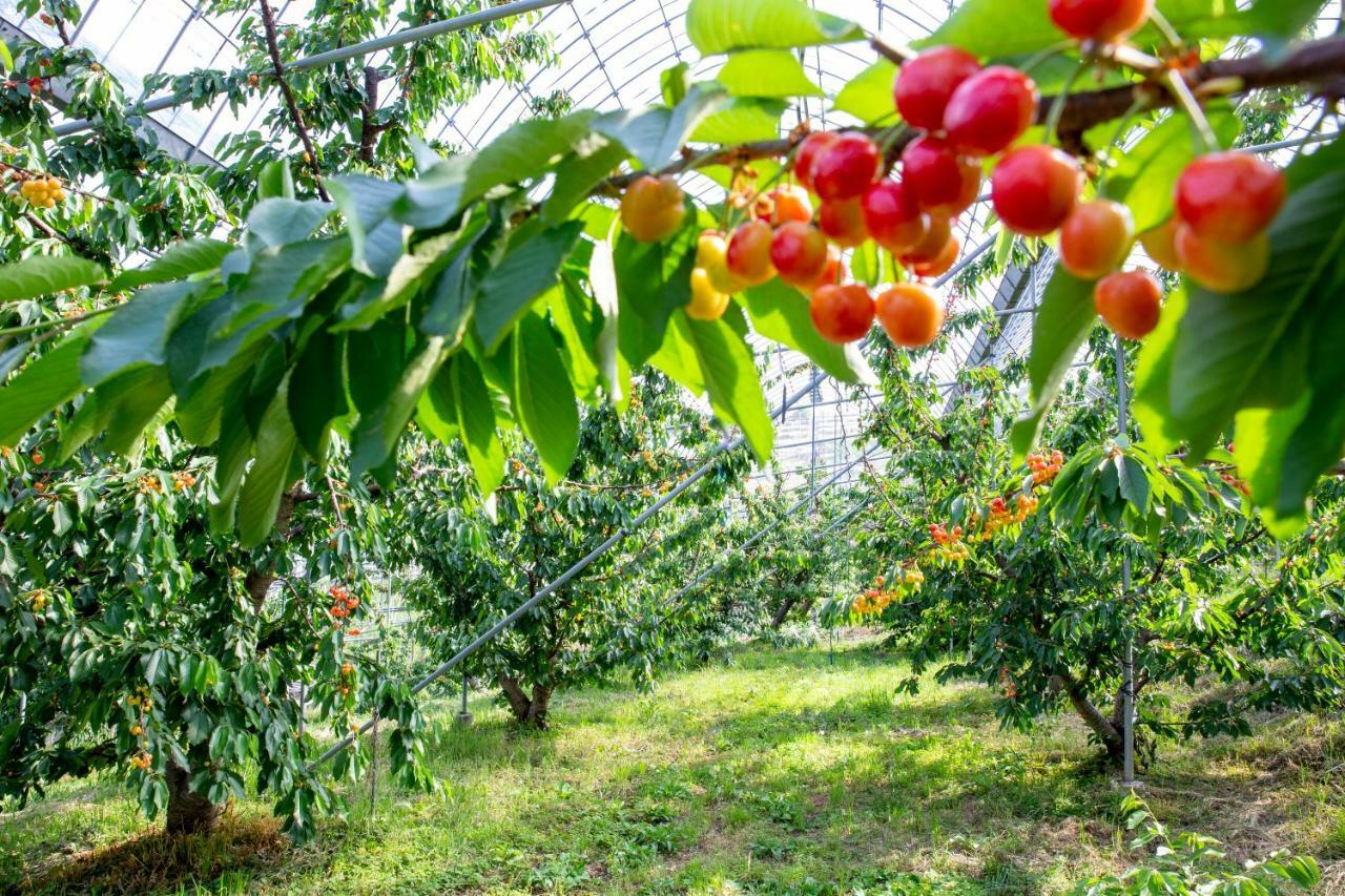 Fruit Park Fujiya Hotel Jamanasi Kültér fotó
